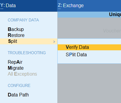 TallyPrime4.1 Split Company Data